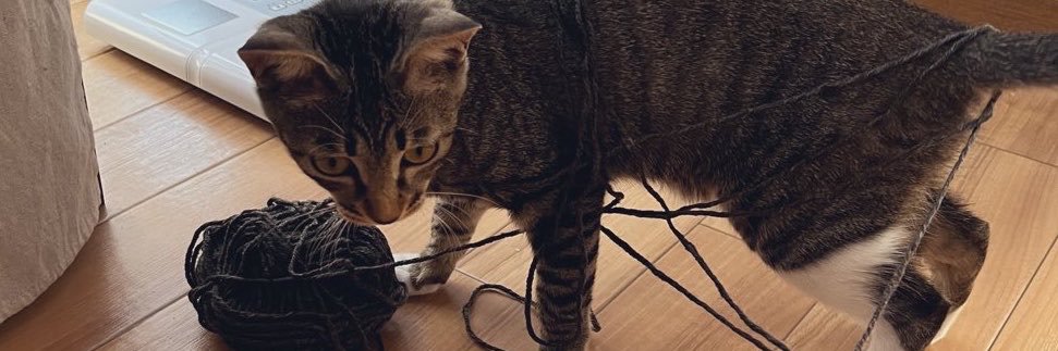 deathnachio's profile banner image