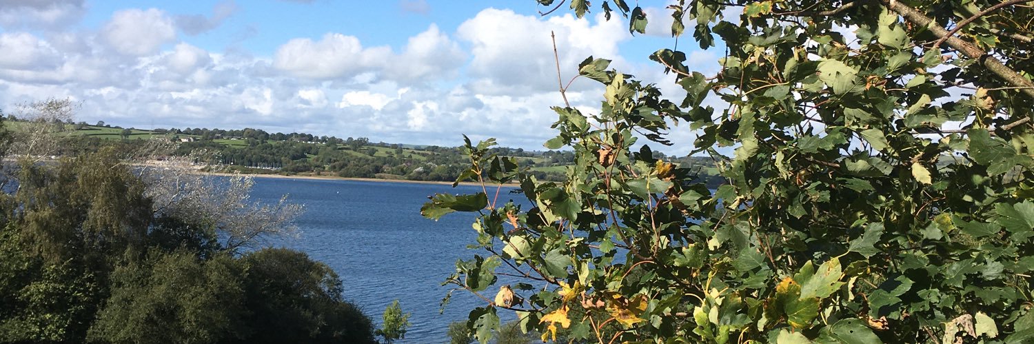 Bridget Fenwick banner