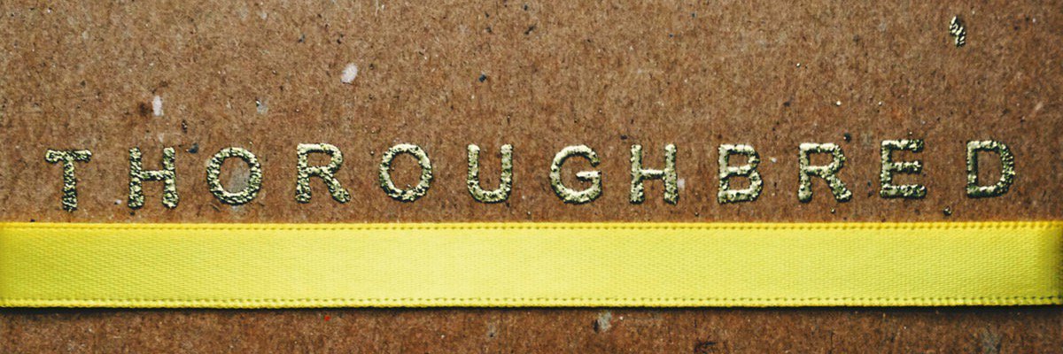 bredofficial's profile banner image