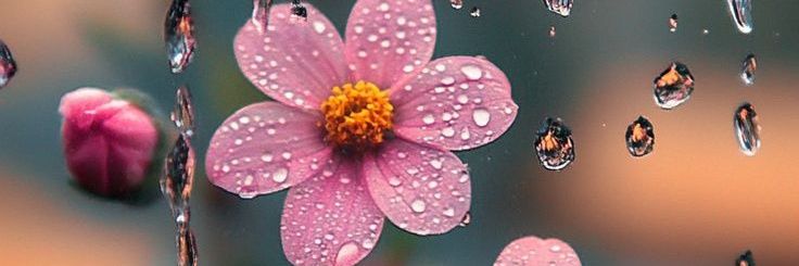 𝕍𝕀ℂ𝕋𝕆ℝ𝕀𝔸💫 banner