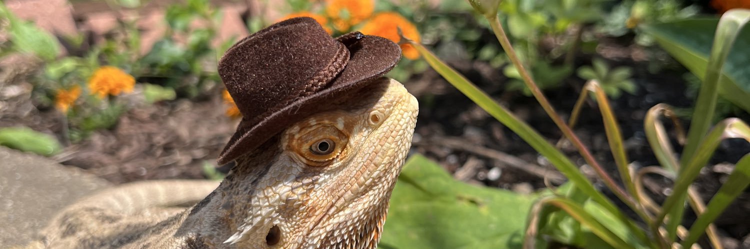 investingiscool's profile banner image