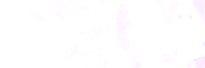kojyu812's profile banner image