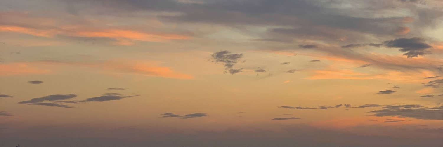 leireju's profile banner image