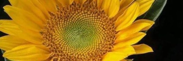 Biagio71To Profile Banner