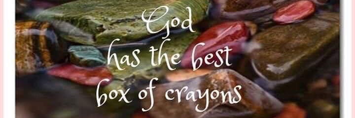 Lashell Dougherty banner