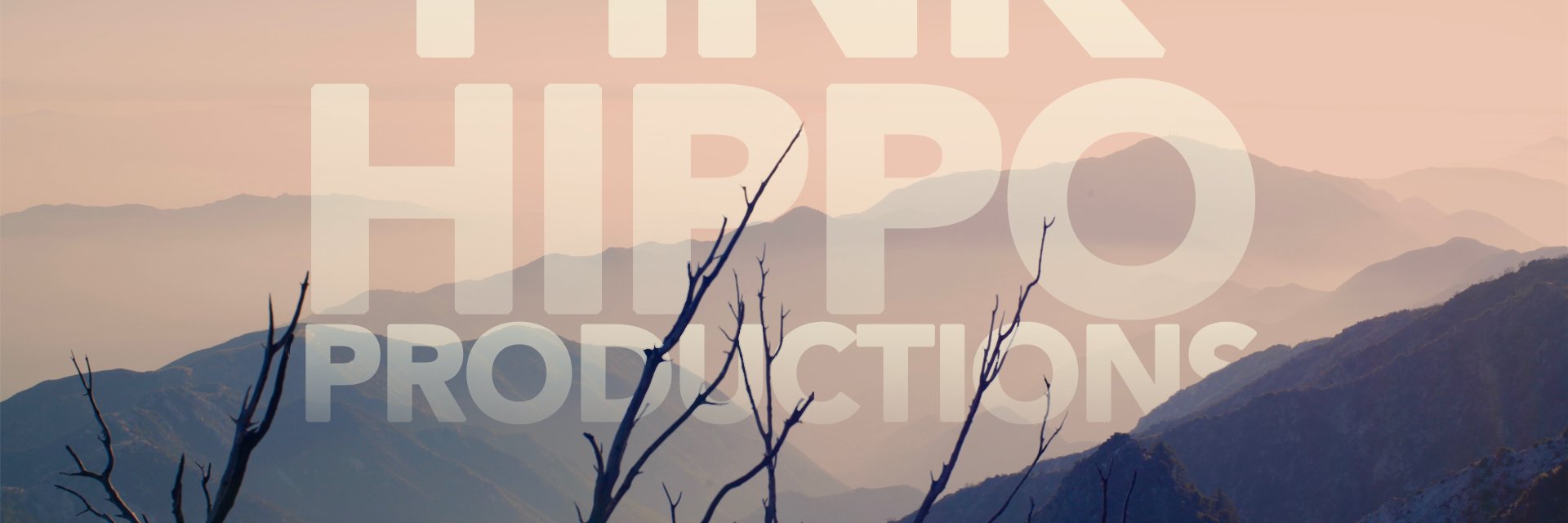 PinkHippoPro's profile banner image