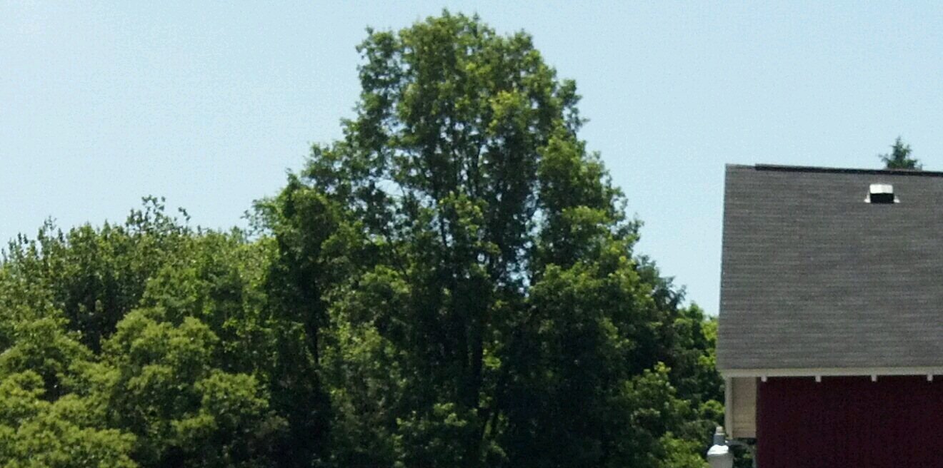 GYFSmike's profile banner image
