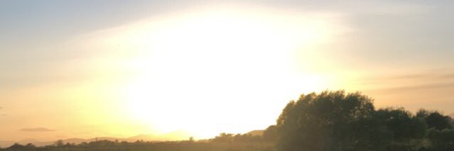 Angus Mailer 🏴󠁧󠁢󠁳󠁣󠁴󠁿 banner