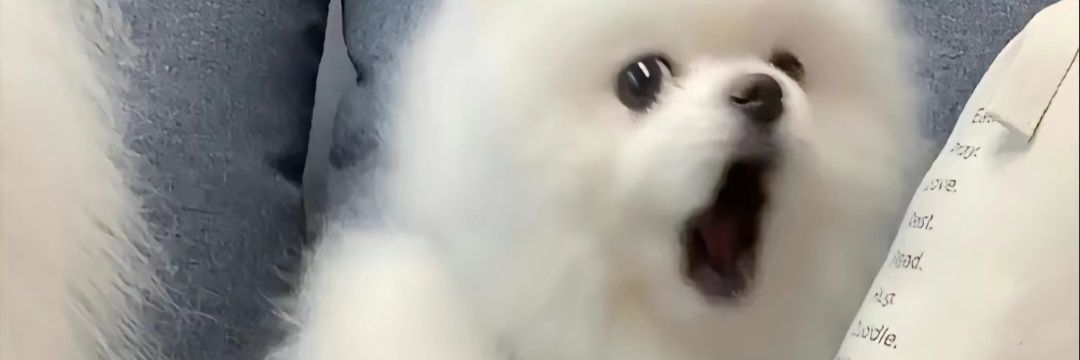 水蜜桃 banner