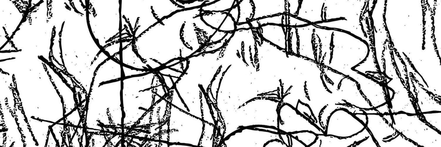 galodesapatilha's profile banner image