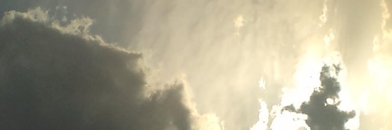shining_apple's profile banner image