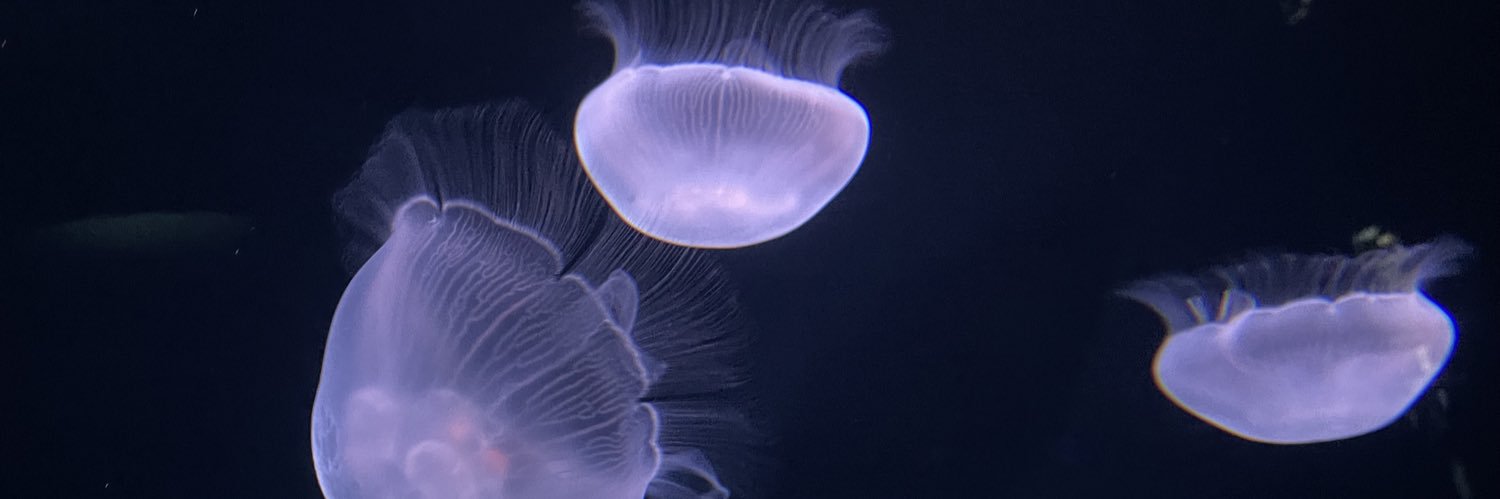 あつあげモンキィ banner