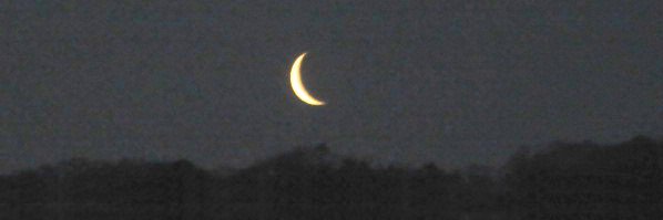 Luna_Termina's profile banner image