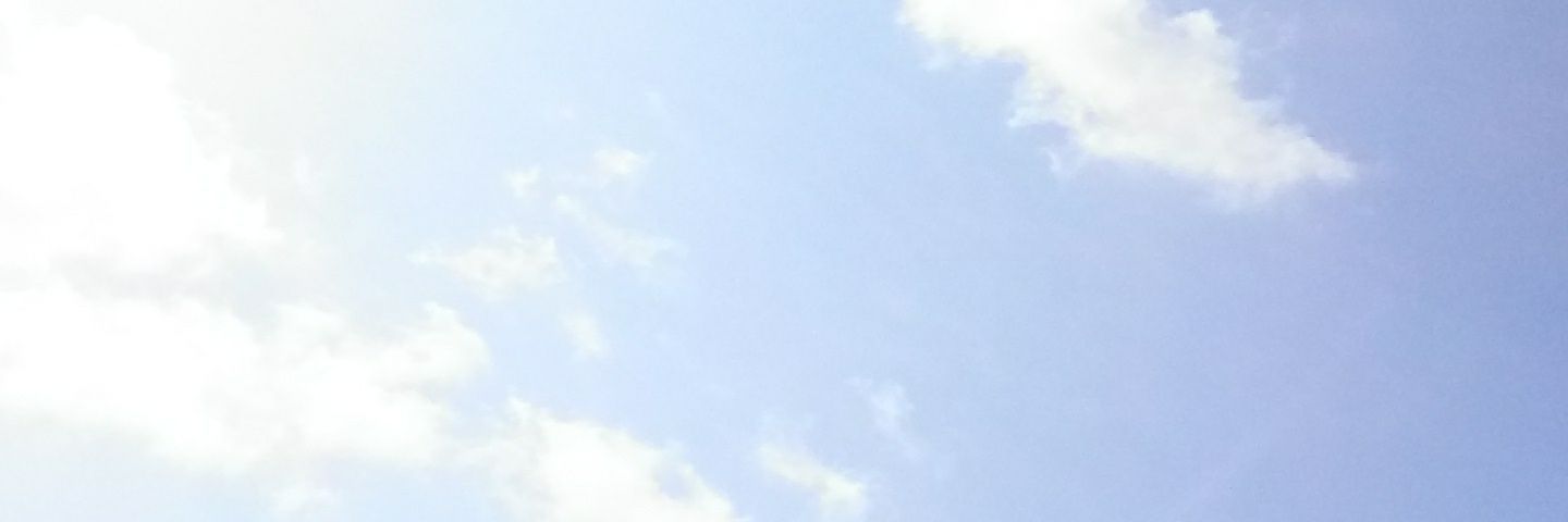 sauthernko's profile banner image