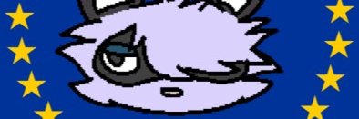 FurryCSGOHub banner