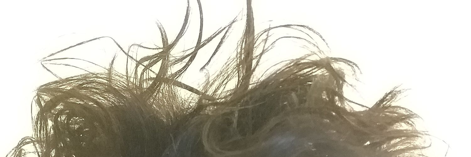 bolkom's profile banner image