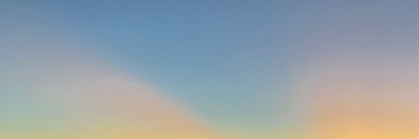 cawpea Profile Banner