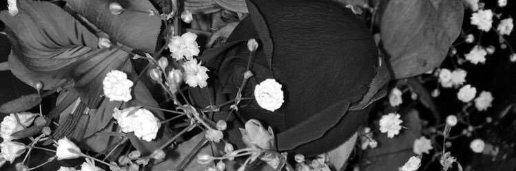 Itzeeeloves's profile banner image
