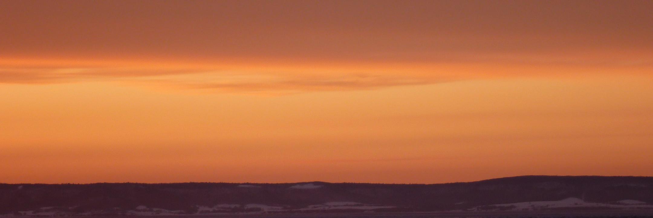 Callum McNeil banner