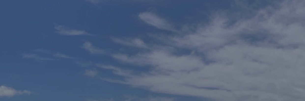 dwiradnyani banner