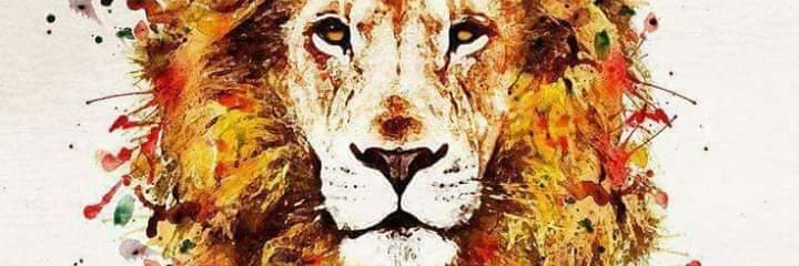 mateuuswilliam's profile banner image