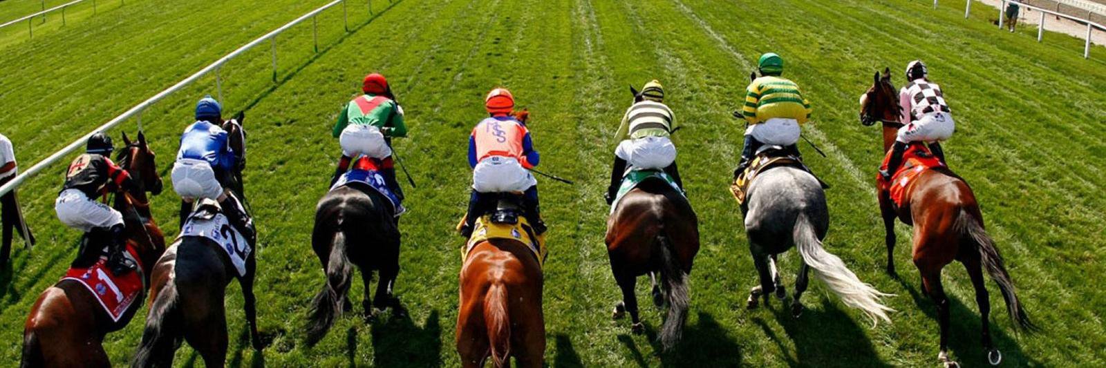 RaceCaller banner