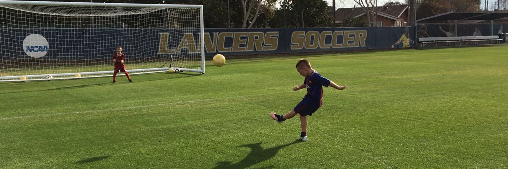 Coe Michaelson banner