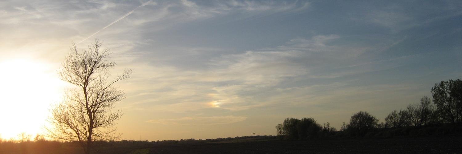 Mark Coddington banner