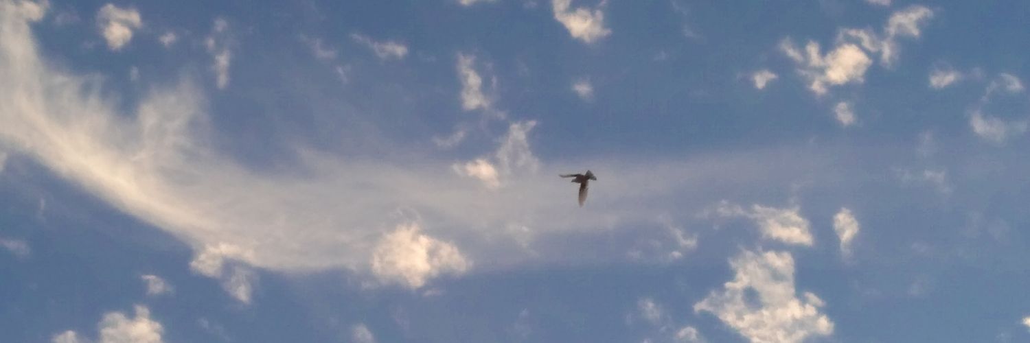 علي فرج banner