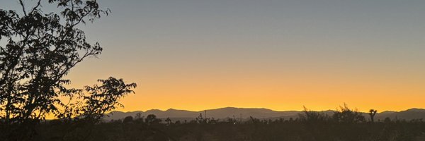 NoaFox7 Profile Banner