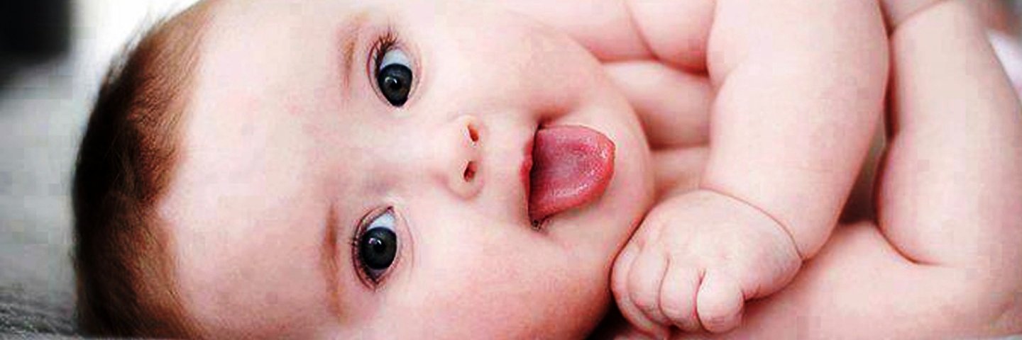 Lovefamilly🐉 $MON banner