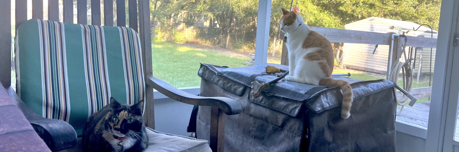 Patriot Nurse. banner