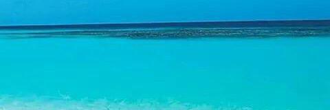 alexcupul's profile banner image