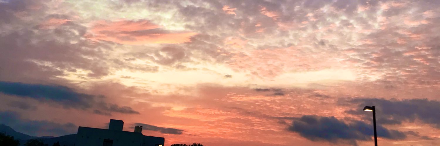 緑のストロボ🍪💭 banner