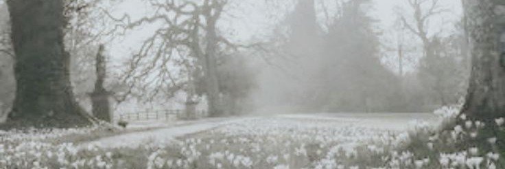 _kkur4_'s profile banner image