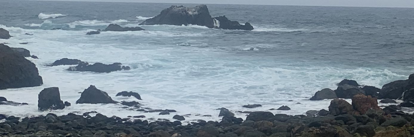 Danycastagno's profile banner image