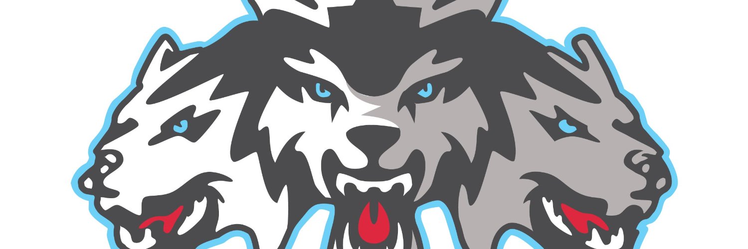 Ohio Wolfpack Baseball banner