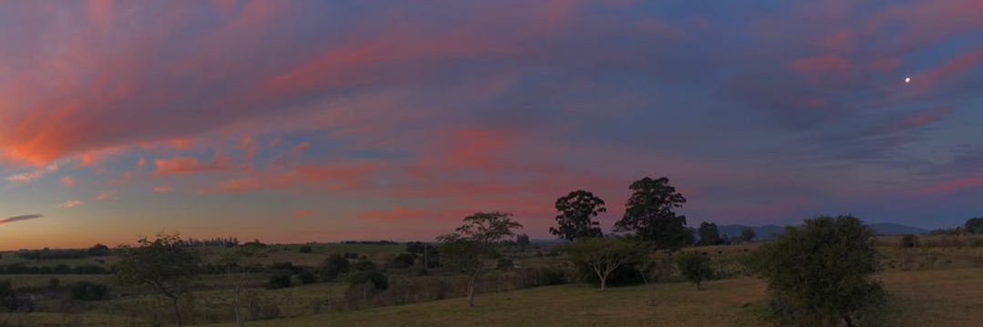 Mateo Sanguinetti banner