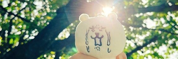 no0name0's profile banner image