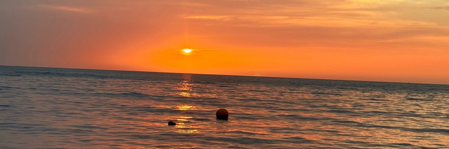 alejafs_'s profile banner image