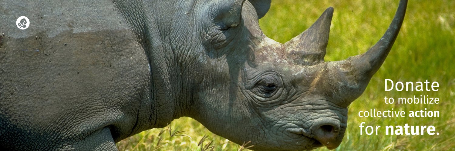 WILD Foundation banner