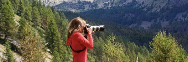 KimberliHull Profile Banner