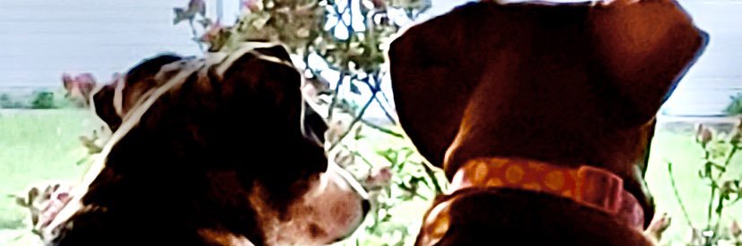 ohshititsnate's profile banner image