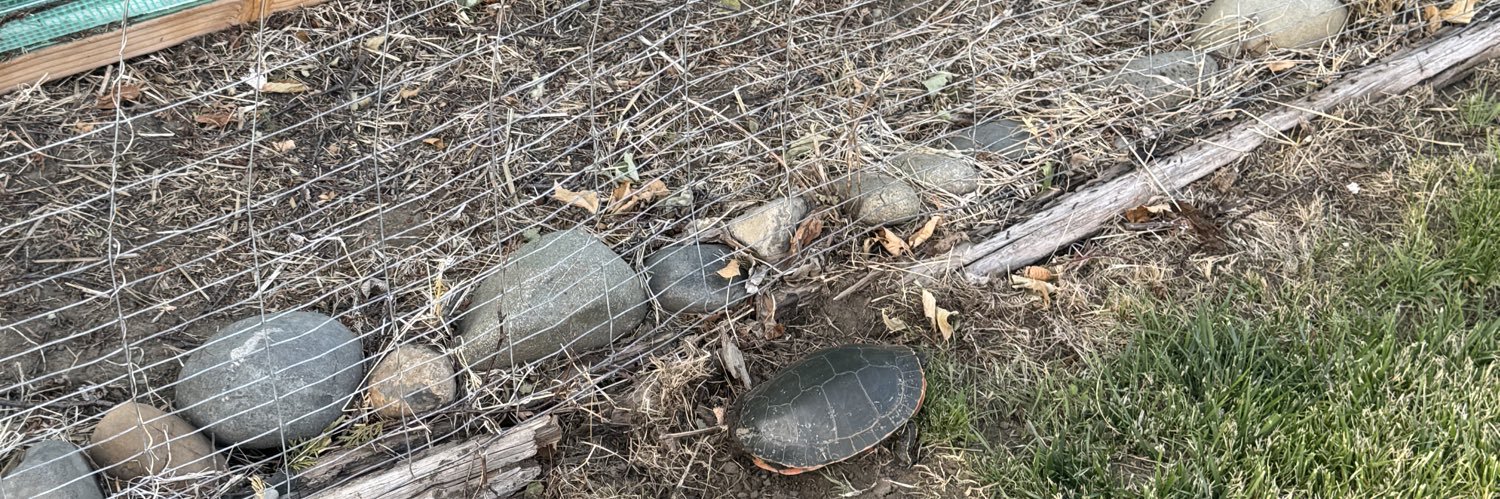 Judge Dunning banner