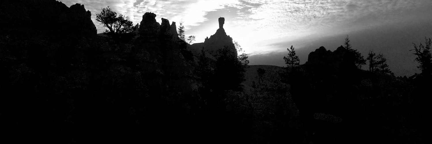 In Search of Meaning banner