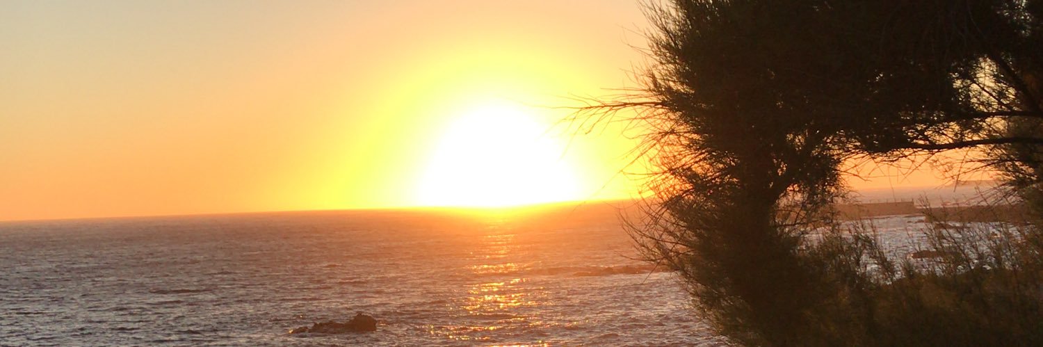pintopedroo's profile banner image