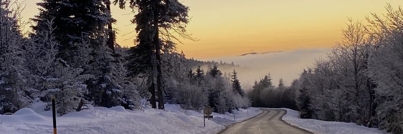 MaximilienPrn's profile banner image
