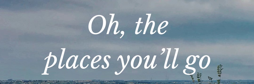 il lupo e la rondine ✈ banner