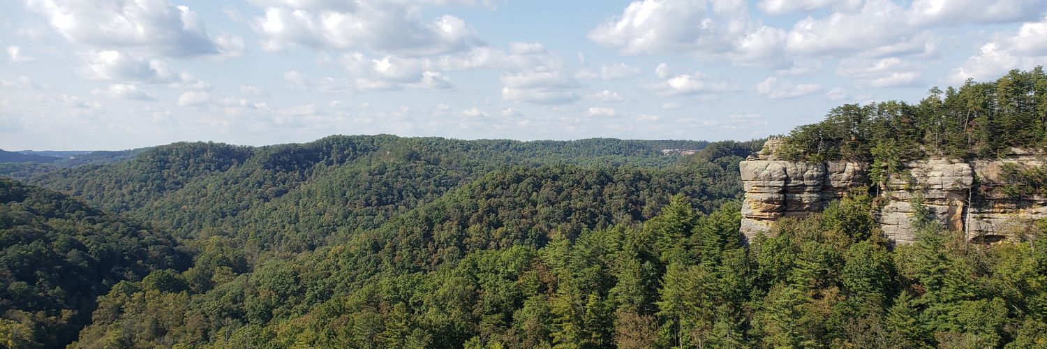 Nathan Gilbert banner