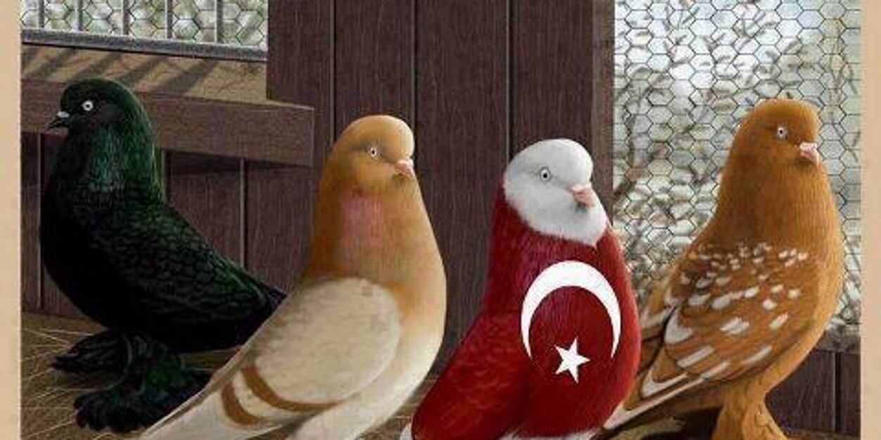 GktenUmut's profile banner image